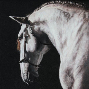 White Horse - SinoCultural -- W0016