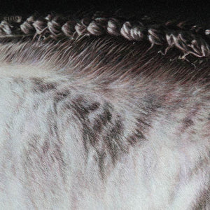 White Horse - SinoCultural -- W0016