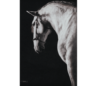 White Horse - SinoCultural -- W0016