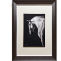 White Horse - SinoCultural -- W0016