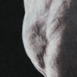 White Horse - SinoCultural -- W0016