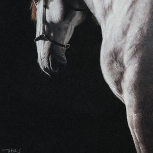 White Horse - SinoCultural -- W0016