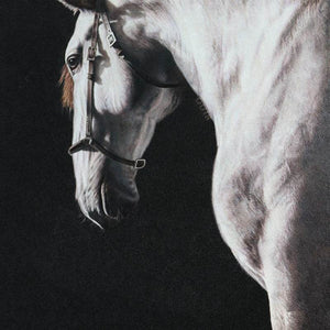 White Horse - SinoCultural -- W0016