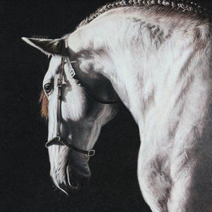 White Horse - SinoCultural -- W0016