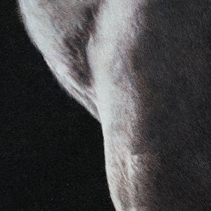 White Horse - SinoCultural -- W0016