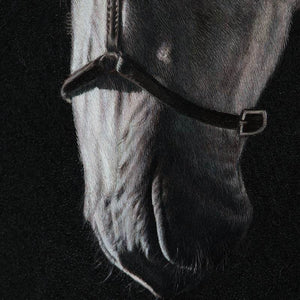 White Horse - SinoCultural -- W0016