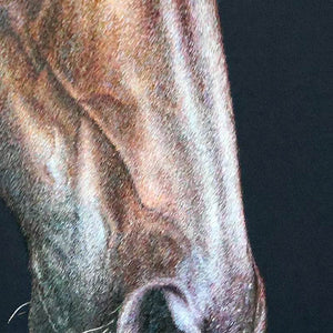 The Horse - SinoCultural -- W0169