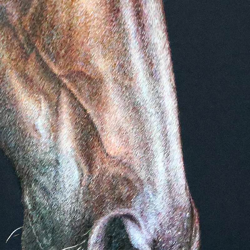 The Horse - SinoCultural -- W0169