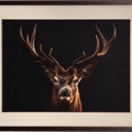 A Deer’s Prosperity - SinoCultural -- WXYW0170
