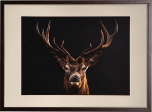 A Deer’s Prosperity - SinoCultural -- WXYW0170