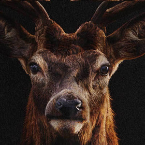 A Deer’s Prosperity - SinoCultural -- WXYW0170