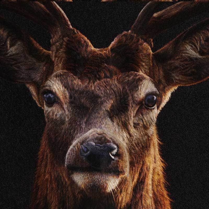 A Deer’s Prosperity - SinoCultural -- WXYW0170