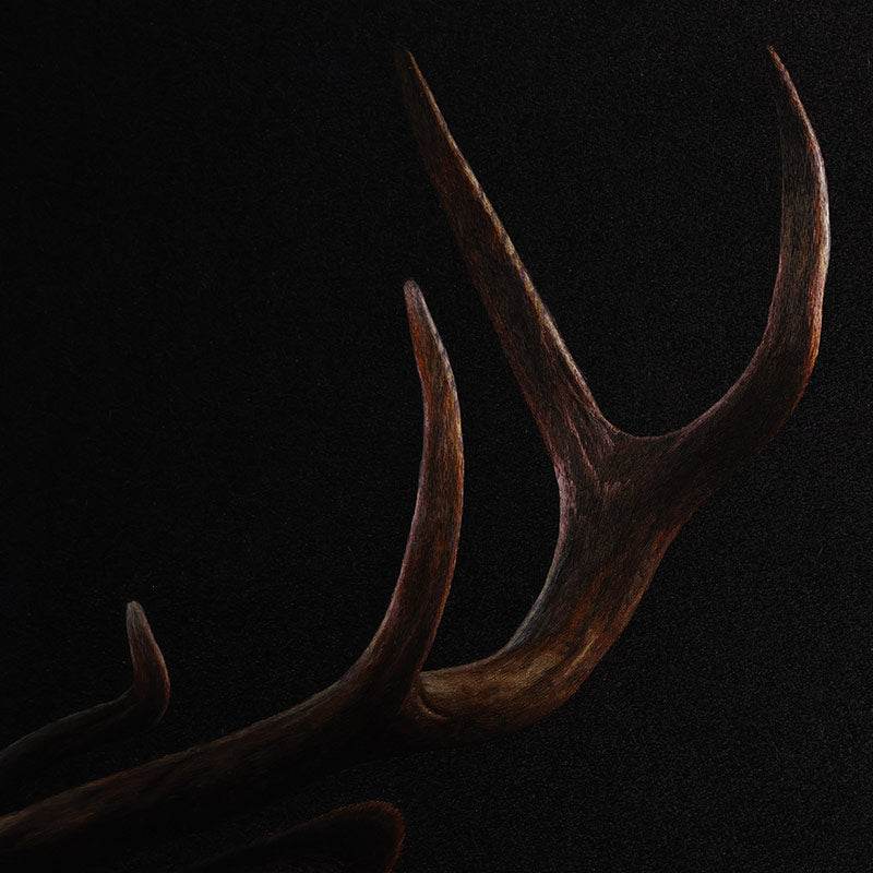 A Deer’s Prosperity - SinoCultural -- WXYW0170