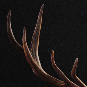 A Deer’s Prosperity - SinoCultural -- WXYW0170