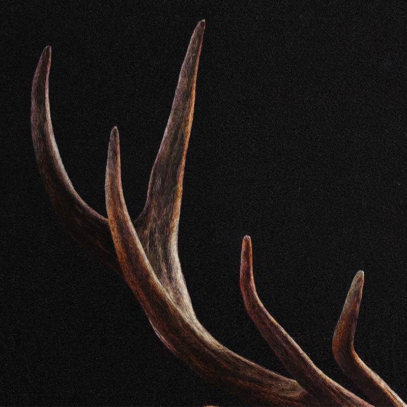 A Deer’s Prosperity - SinoCultural -- WXYW0170
