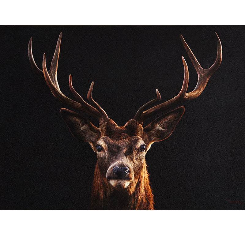 A Deer’s Prosperity - SinoCultural -- WXYW0170