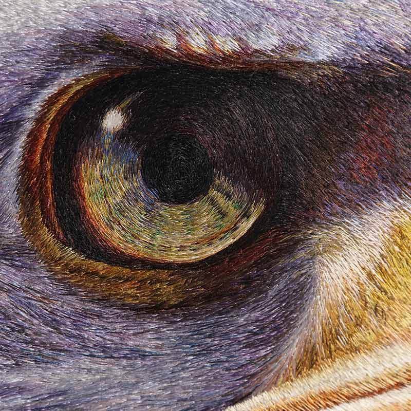 Eagle - SinoCultural -- WXYW0171