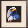 Eagle - SinoCultural -- WXYW0171