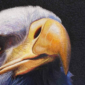 Eagle - SinoCultural -- WXYW0171