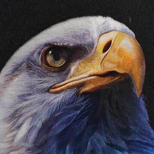 Eagle - SinoCultural -- WXYW0171